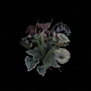 Wildflowers by Nhor - album cover