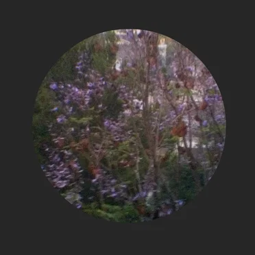New Amerikan Folk EP