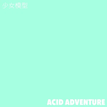 ACID ADVENTURE