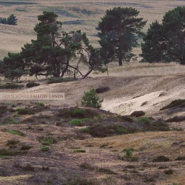 Fallow Lands