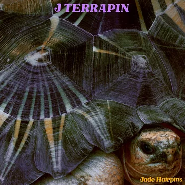 J Terrapin by Jade Hairpins - album cover