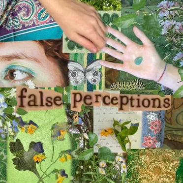 False Perceptions