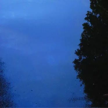 The puddles