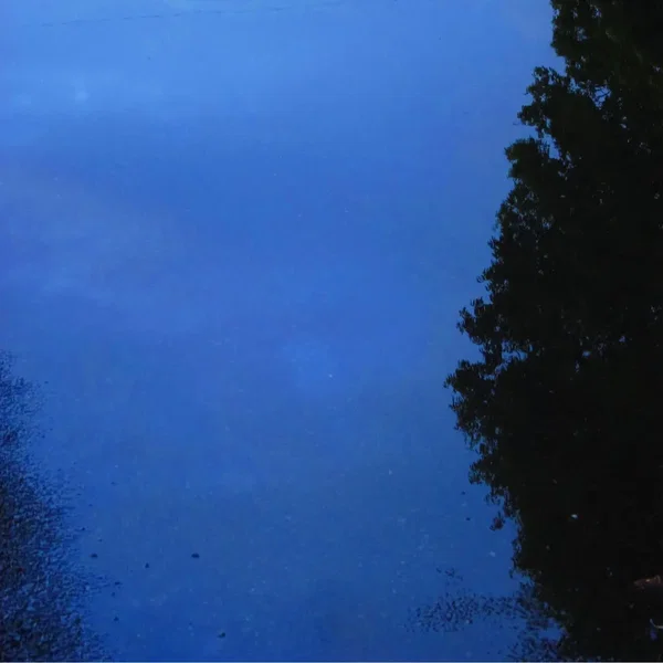 The puddles