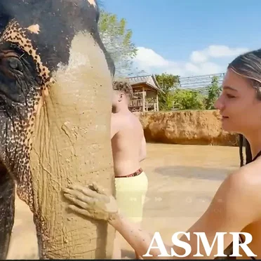 TINGLES WITH ELEPHANTS by Nanou ASMR - album cover