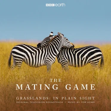 The Mating Game - Grasslands: In Plain Sight (Original Television Soundtrack)