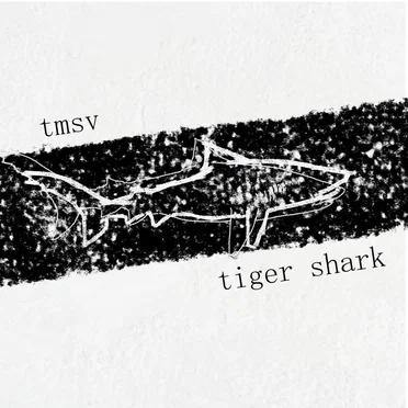 Tiger Shark