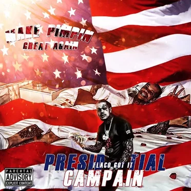 Presidential Campain by Flaco Got It - album cover