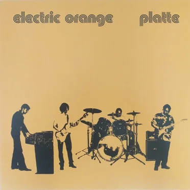 Platte / Fleischwerk by Electric Orange - album cover