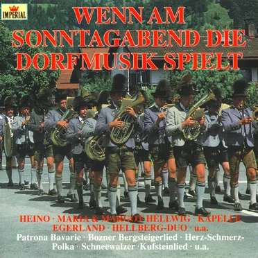 Wenn am Sonntagabend die Dorfmusik spielt by Various Artists - album cover