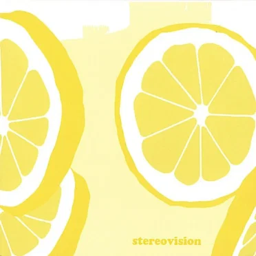 Stereovision by Stereovision - album cover