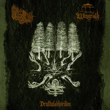 Druttwaldsriten by An Old Sad Ghost - album cover