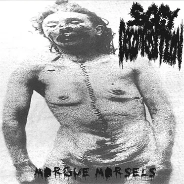 Morgue Morsels by Soggy Decomposition - album cover