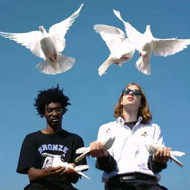 Birds Fly by Night