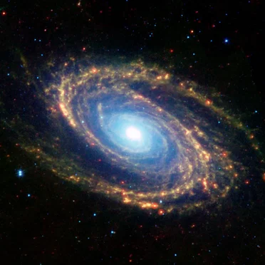 M81