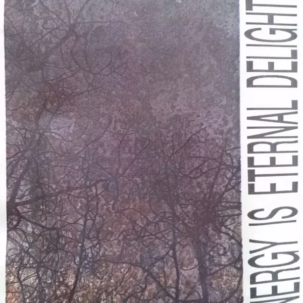 Energy is Eternal Delight