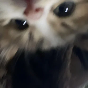 Give It to You