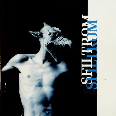 Sfiltrom
