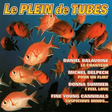 Le Plein de tubes by Various Artists - album cover