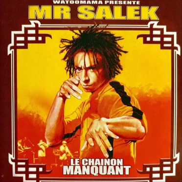 Le Chainon Manquant by Mr Salek - album cover