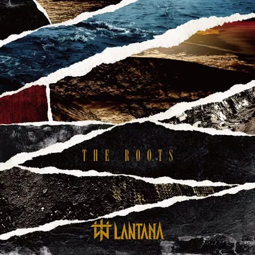 THE ROOTS