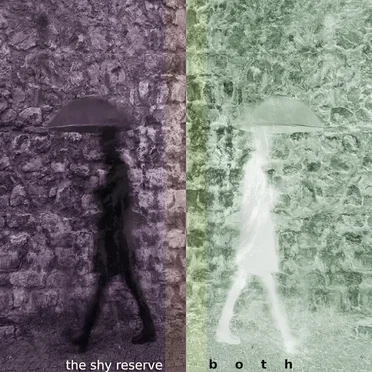 Both by The Shy Reserve - album cover