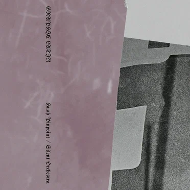 Hush Pinpoint / Silent Orchestra