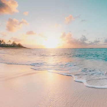 Joyful Ocean