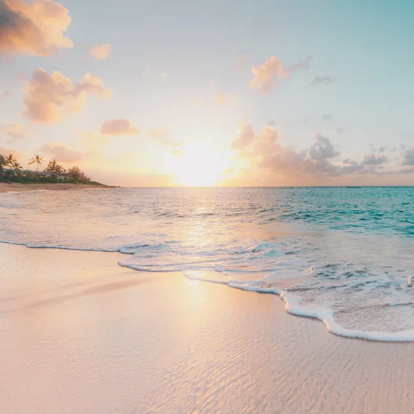 Joyful Ocean