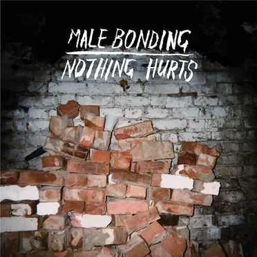 Nothing Hurts by Male Bonding - album cover