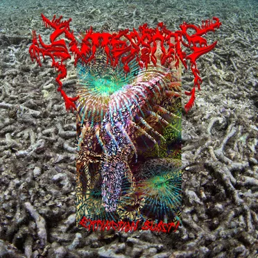 Extinction Burst!