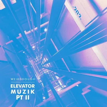 elevatormuzik pt. 2 by Weirddough - album cover