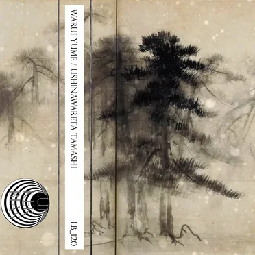 Warui Yume / Ushinawareta Tamashī
