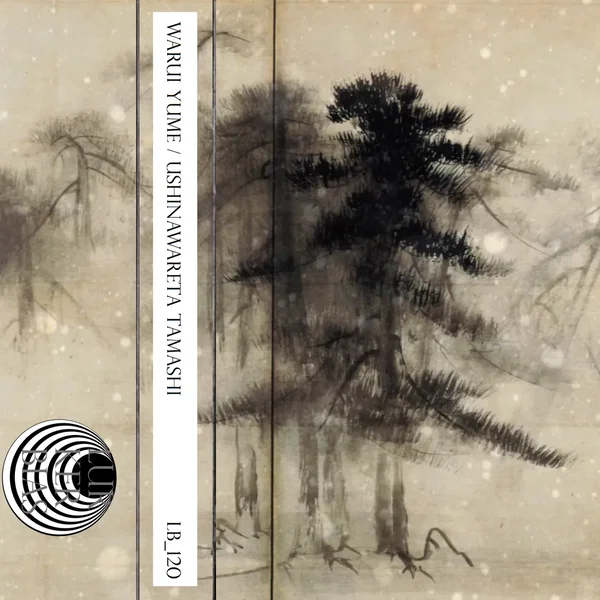 Warui Yume / Ushinawareta Tamashī