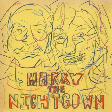 Harry the Nightgown