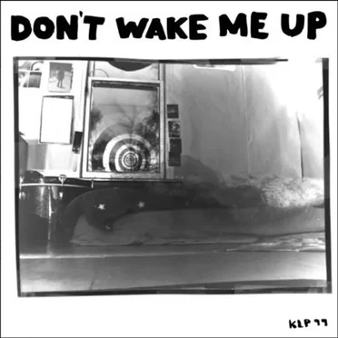 Don’t Wake Me Up by Microphones - album cover