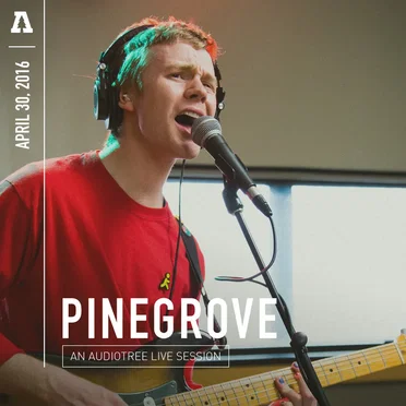 Audiotree Live by Pinegrove - album cover