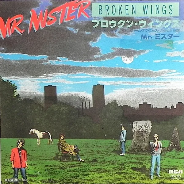 Broken Wings