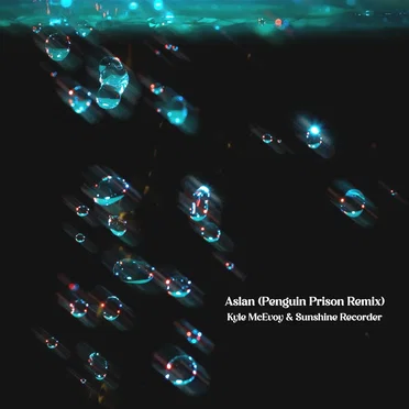 Aslan (Penguin Prison remix)