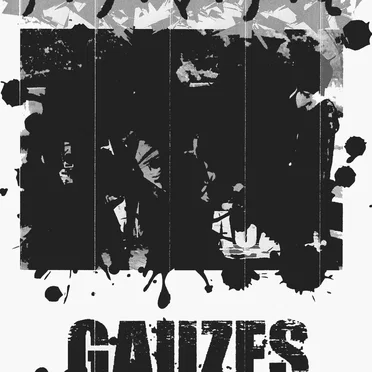 GAUZES.
