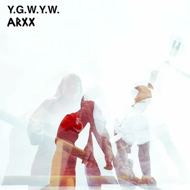 Y.G.W.Y.W. (You Got What You Want)