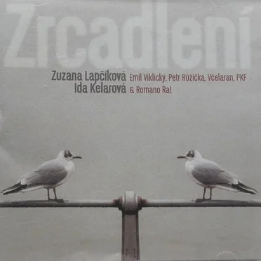 Zrcadlení