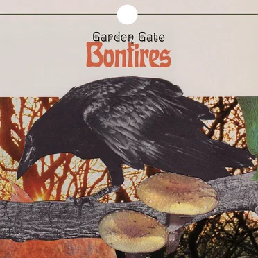Bonfires