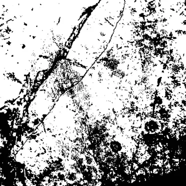 We Go On, but We Cannot for Much Longer by And We Walk Endlessly Towards the Sun - album cover