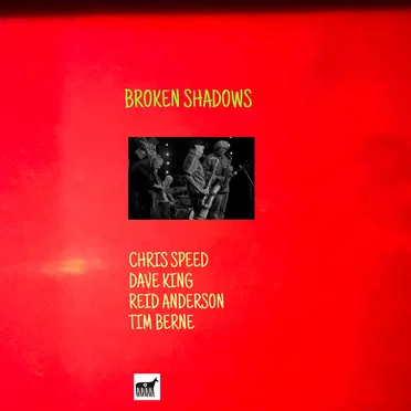 Broken Shadows Live by Broken Shadows - album cover