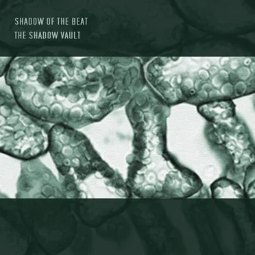 The Shadow Vault by Shadow of the Beat - album cover
