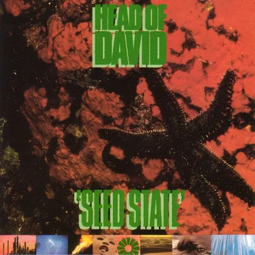 Seed State by Head of David - album cover