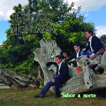 Sabor a Norte by Güeyos - album cover