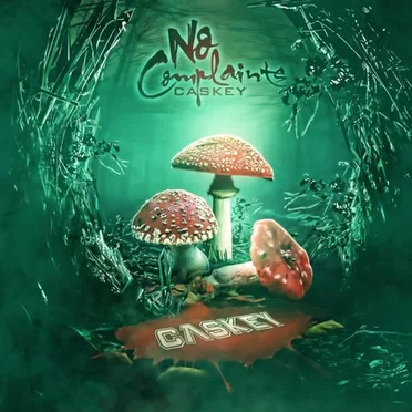 No Complaints by Caskey - album cover