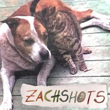 Zachshots by Zachshots - album cover